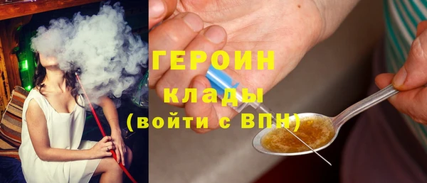 гидра Богородск