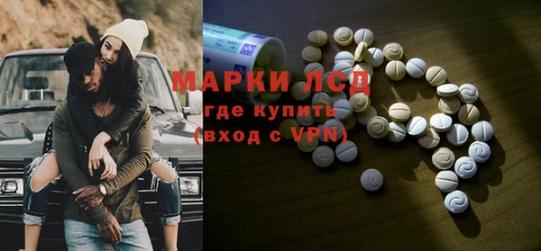 гидра Богородск