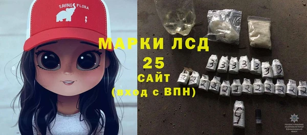 гидра Богородск